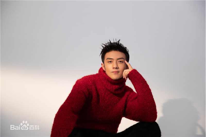 李泽锋精选 图册