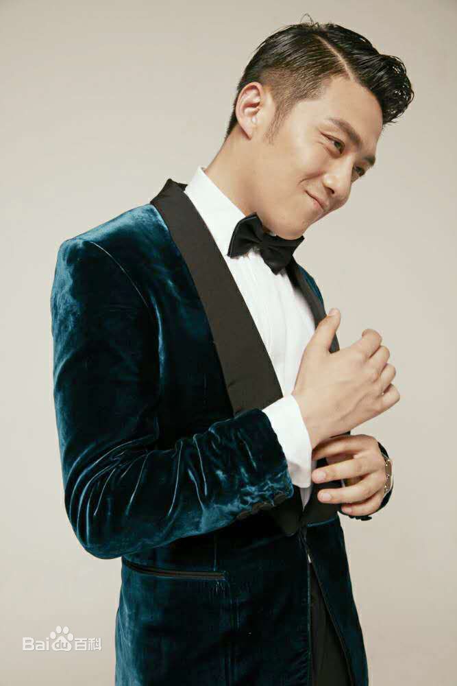 李泽锋精选 图册