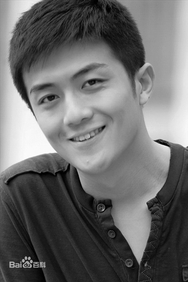 李泽锋精选 图册