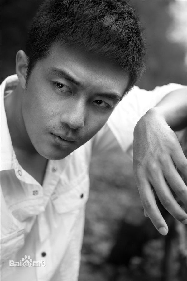 李泽锋精选 图册