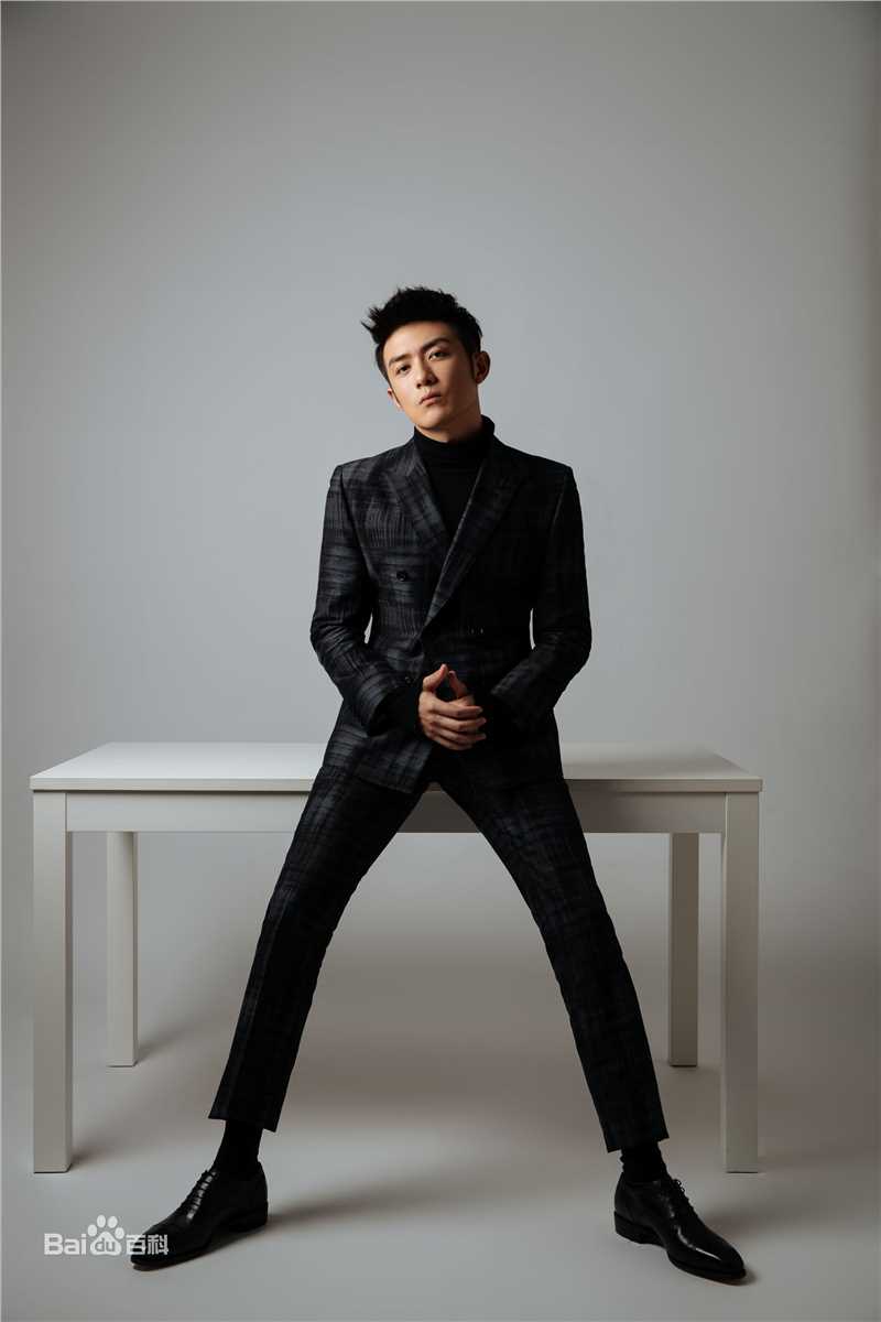 李泽锋精选 图册