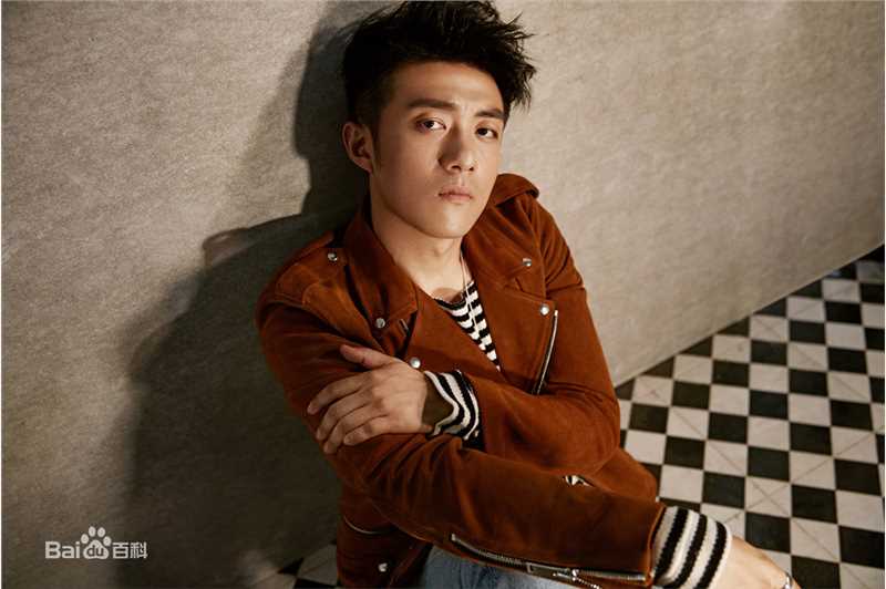 李泽锋精选 图册