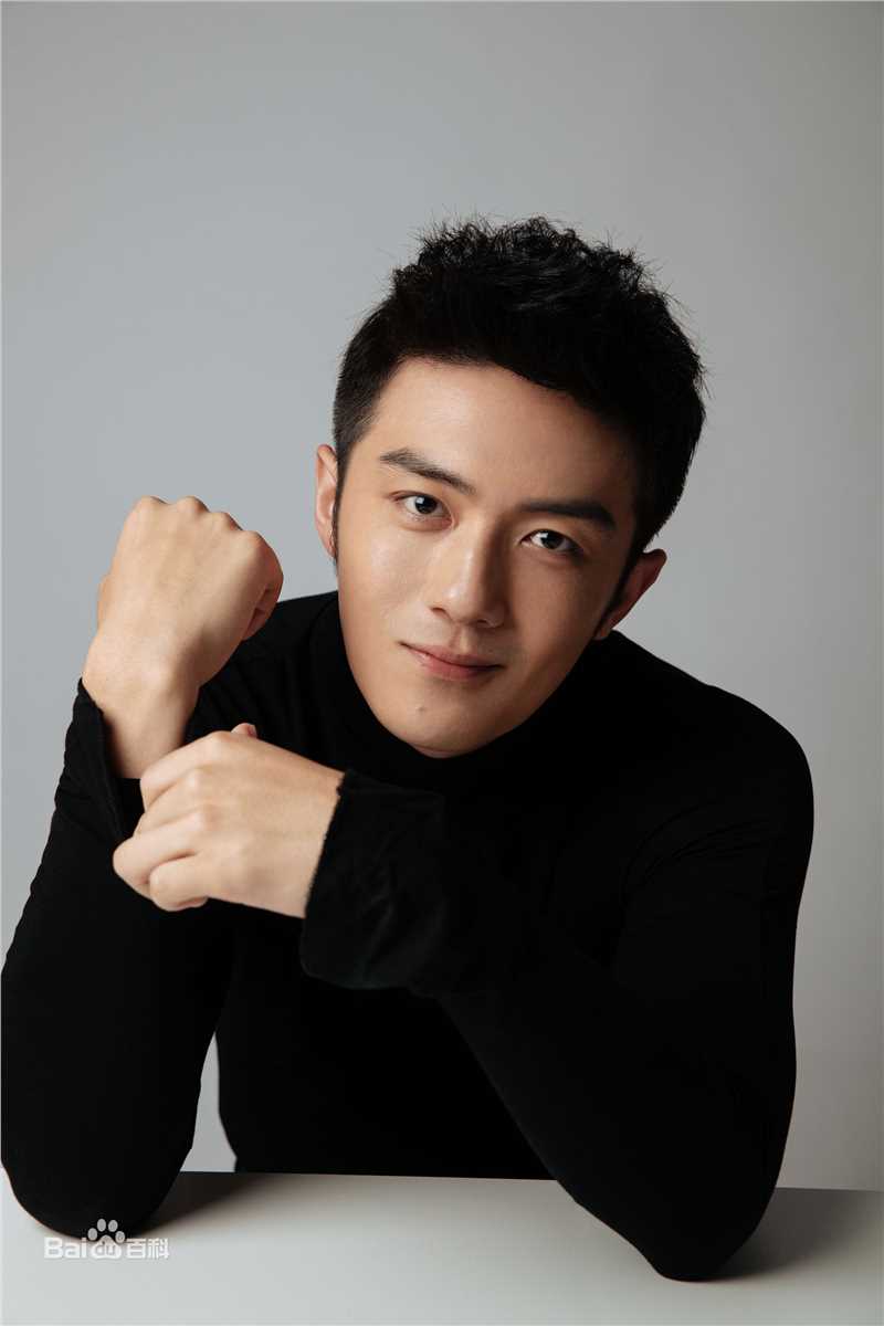 李泽锋精选 图册