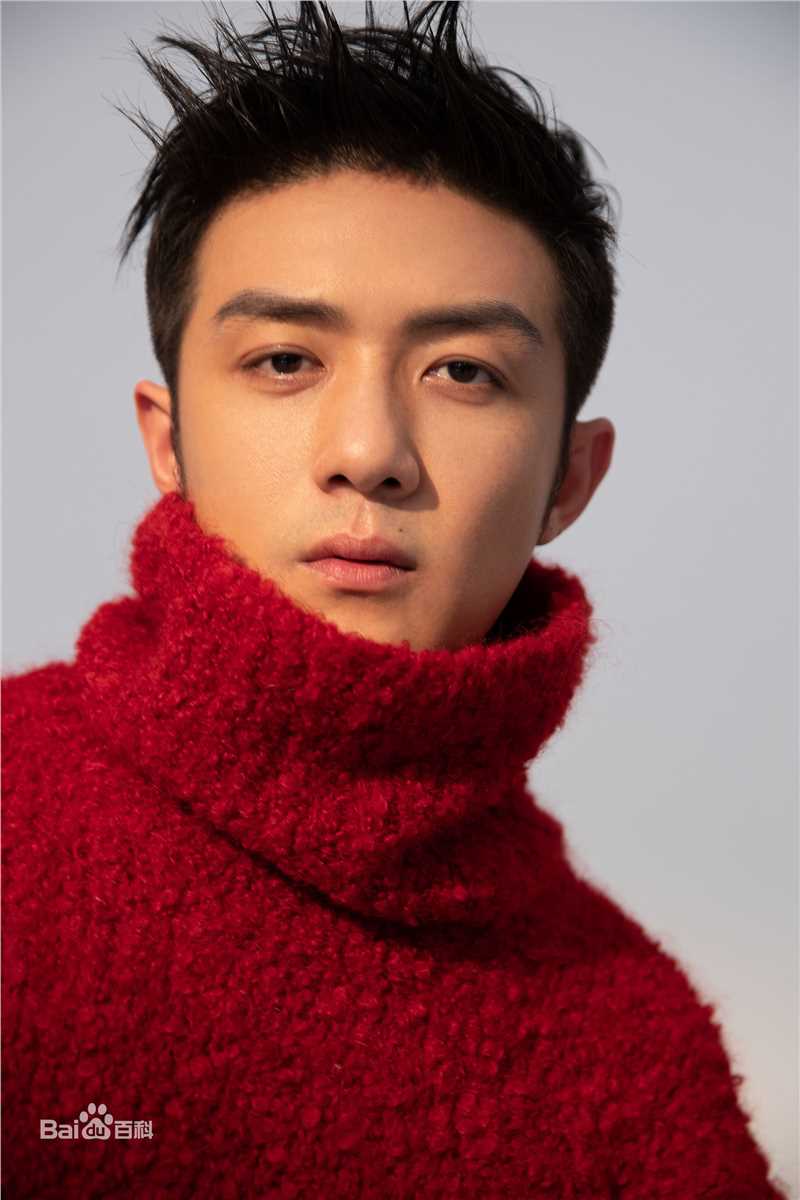 李泽锋精选 图册