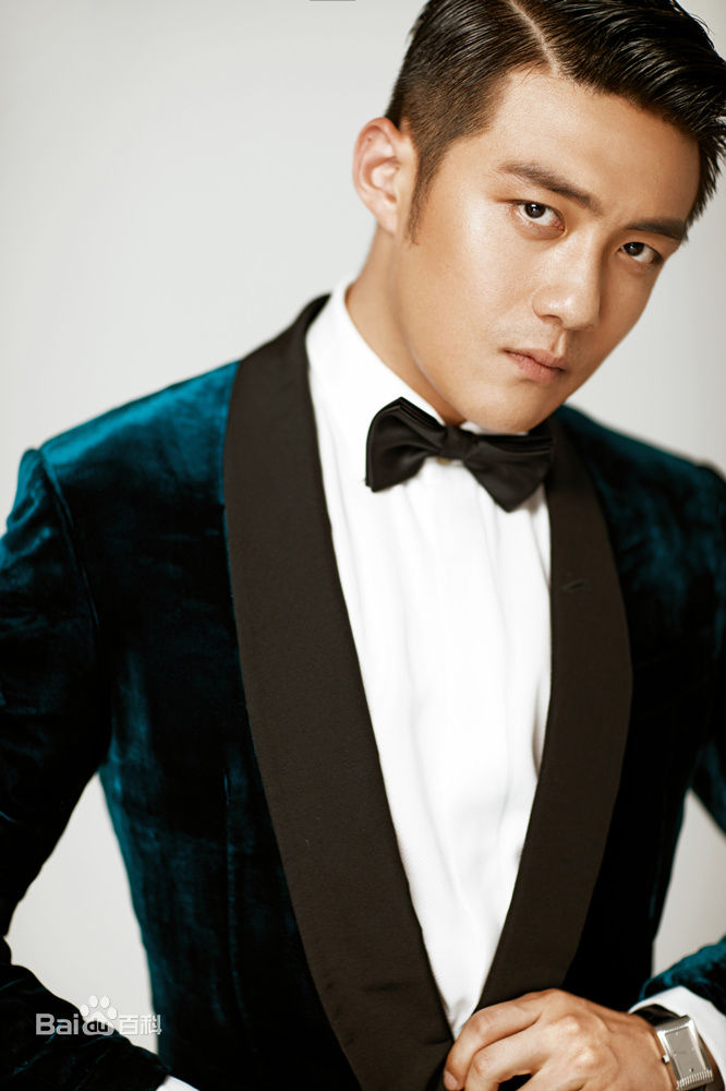 李泽锋精选 图册