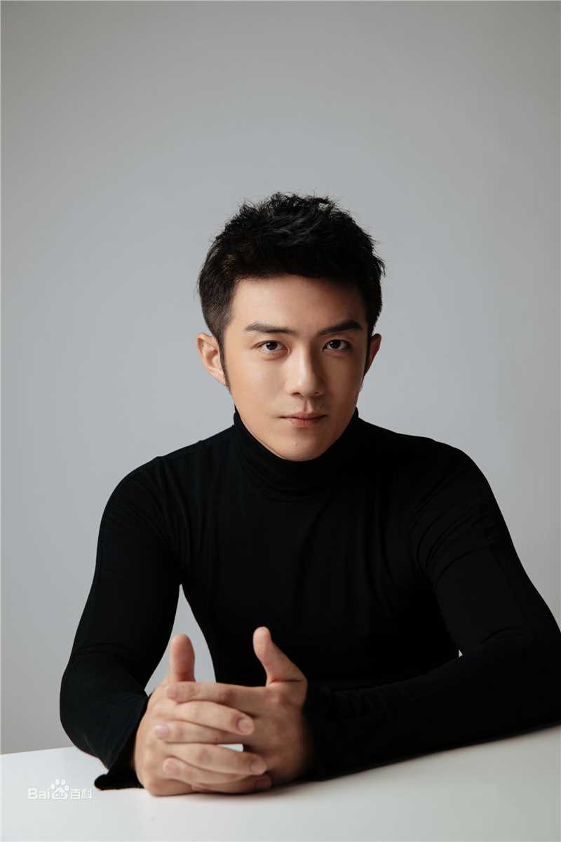 李泽锋精选 图册