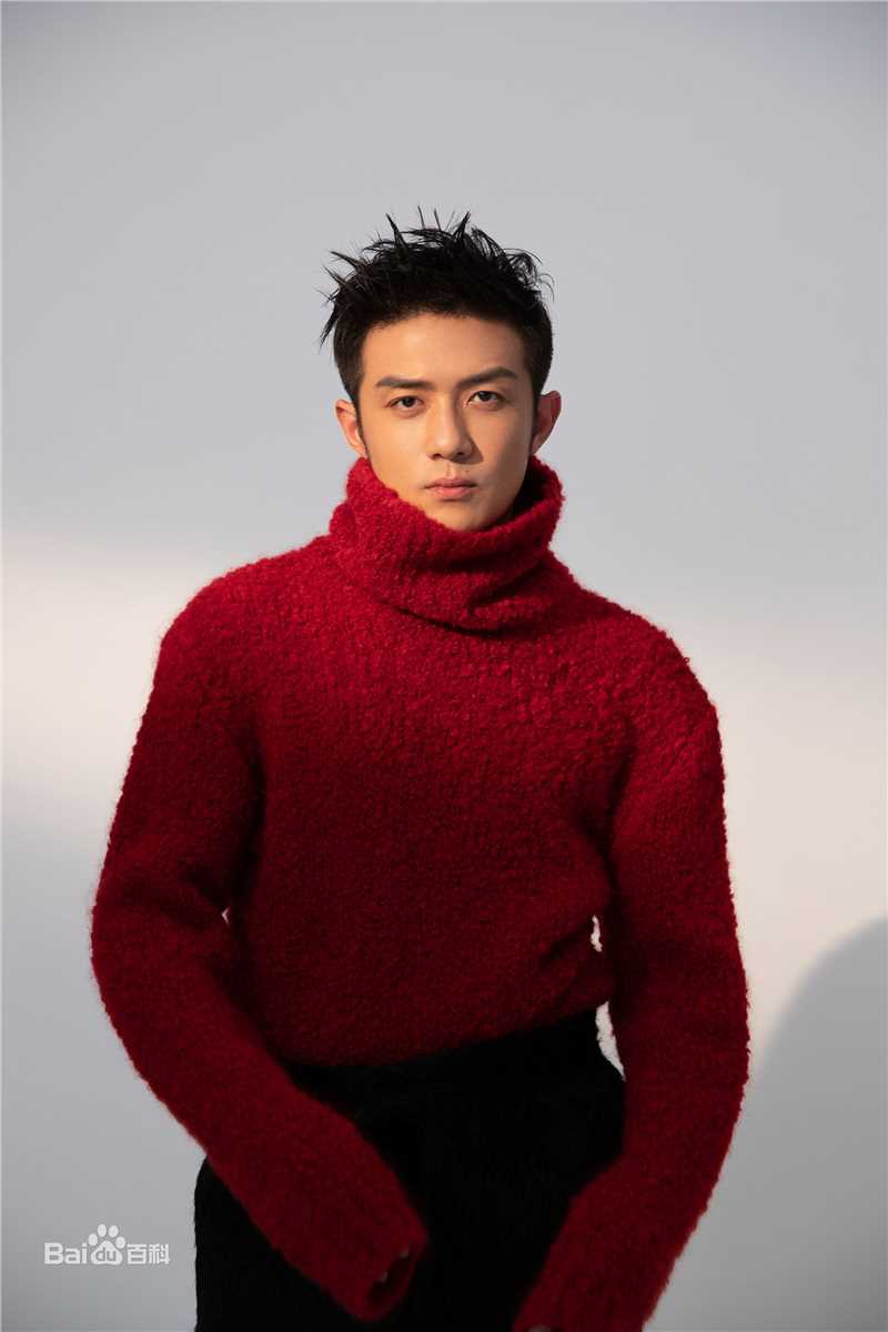 李泽锋精选 图册