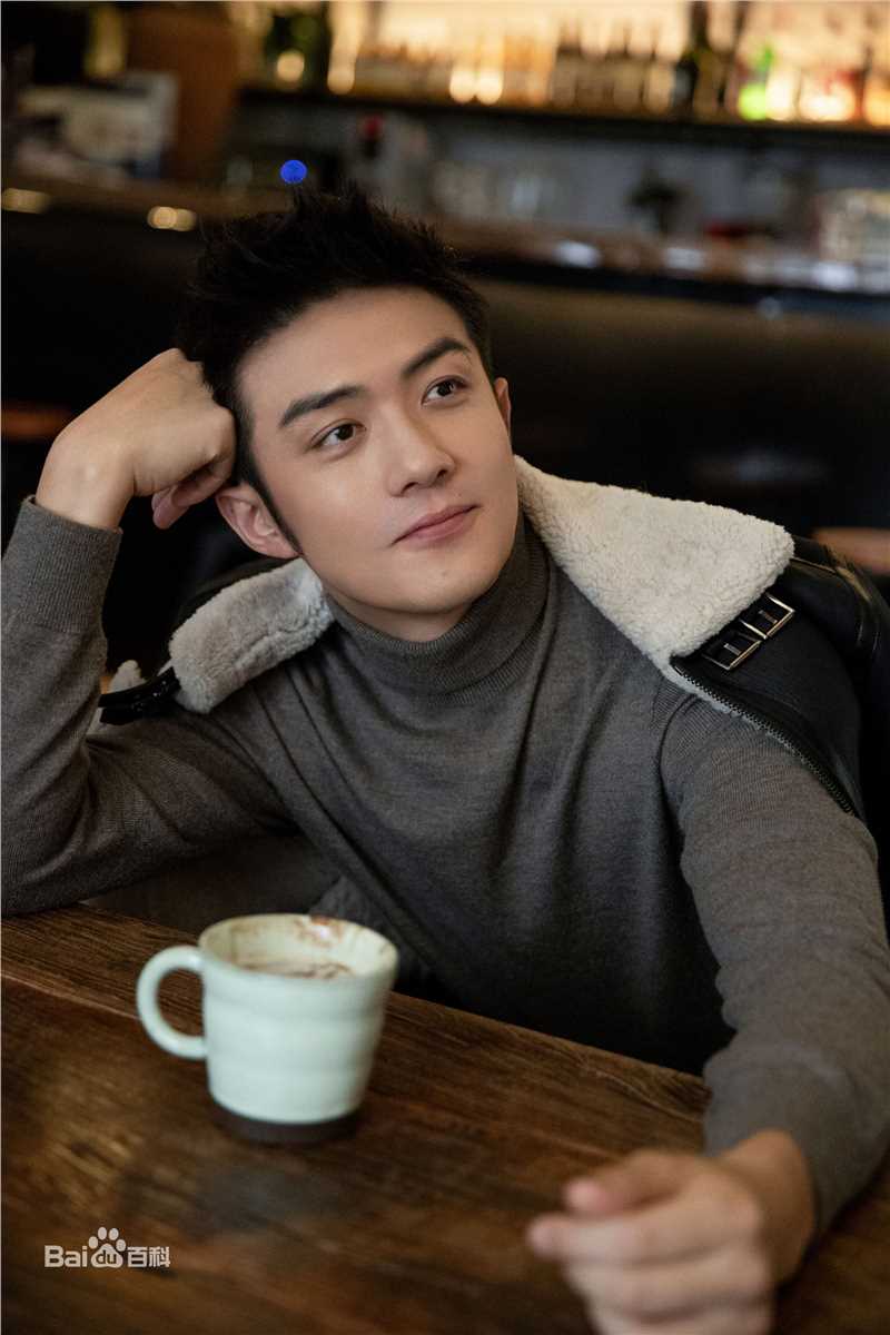 李泽锋精选 图册