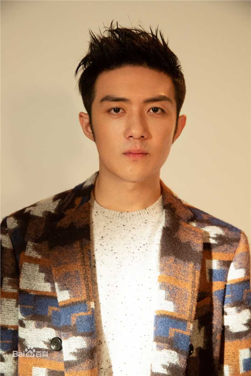 李泽锋精选 图册