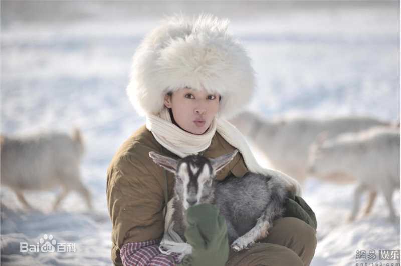 王媛可精彩图册