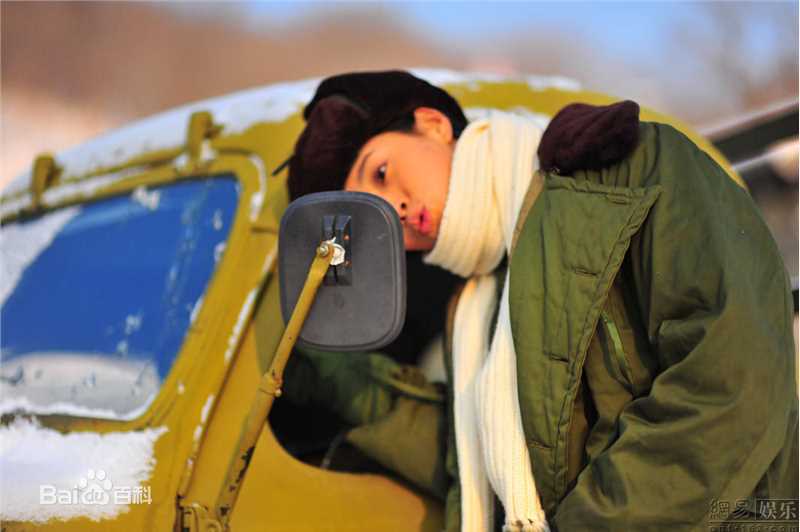 王媛可精彩图册