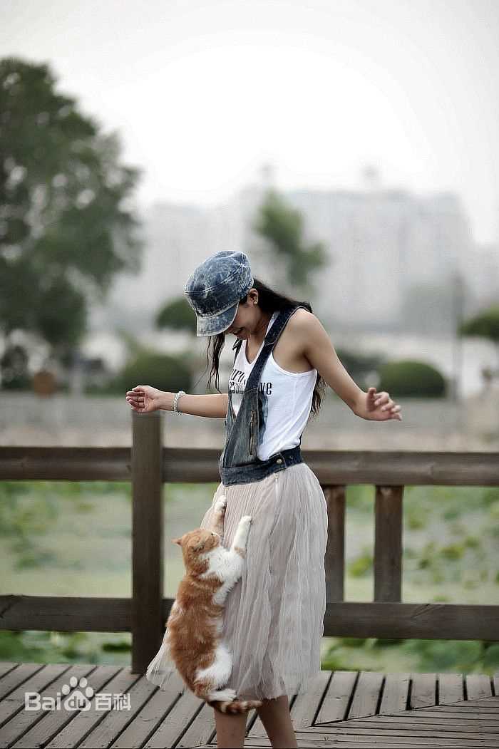 精选王媛可精彩图册