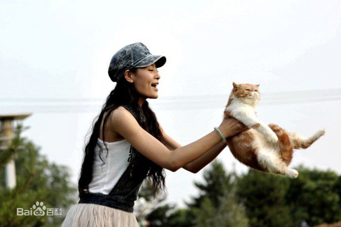 精选王媛可精彩图册