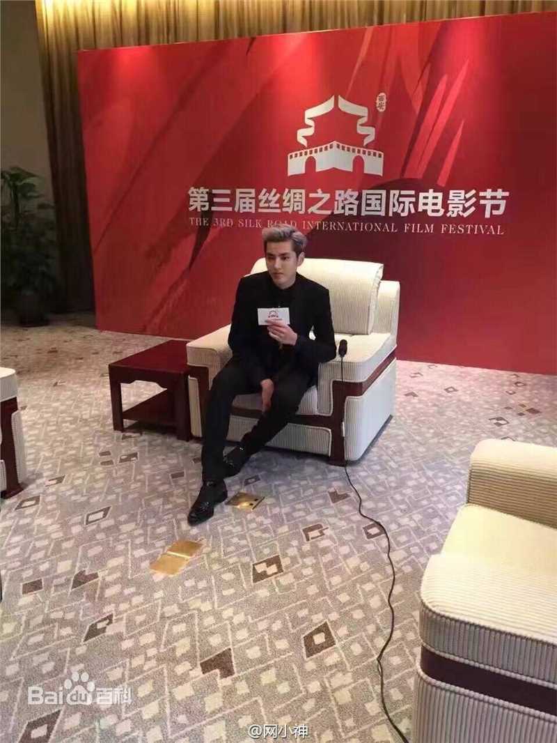 吴亦凡(KRIS)电影节青年大使图片图集