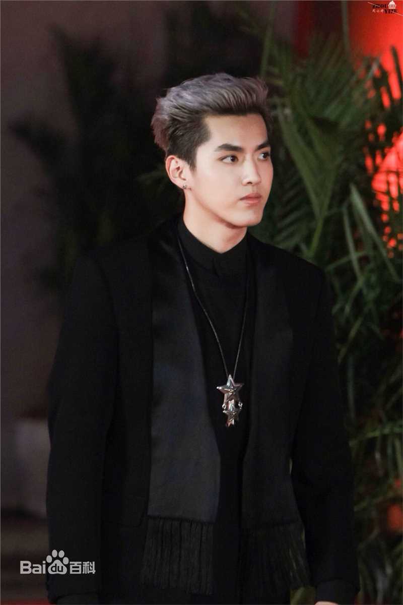吴亦凡(KRIS)电影节青年大使图片图集