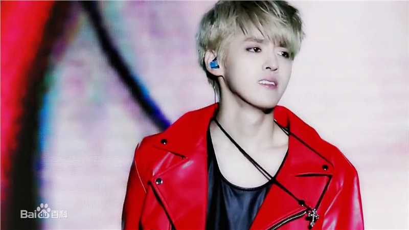 吴亦凡(KRIS)演唱会素颜照相册