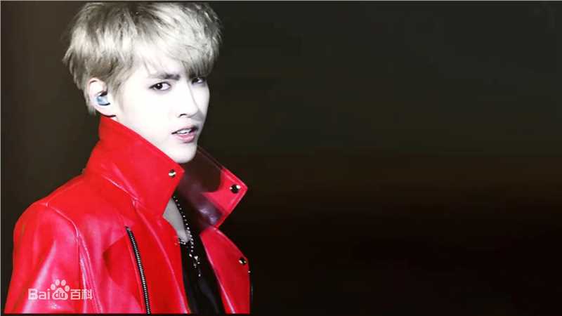 吴亦凡(KRIS)演唱会素颜照相册