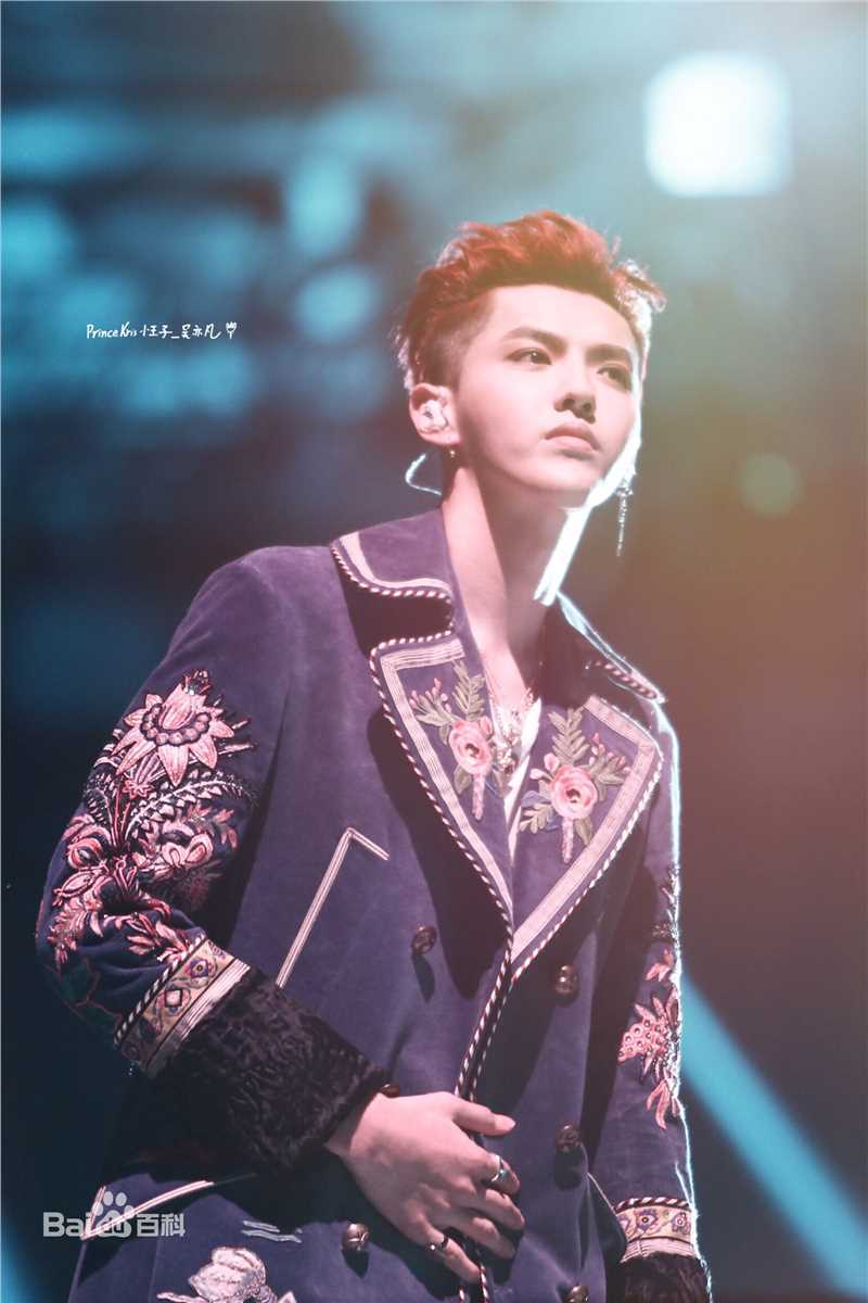 吴亦凡(KRIS)演唱会素颜照相册