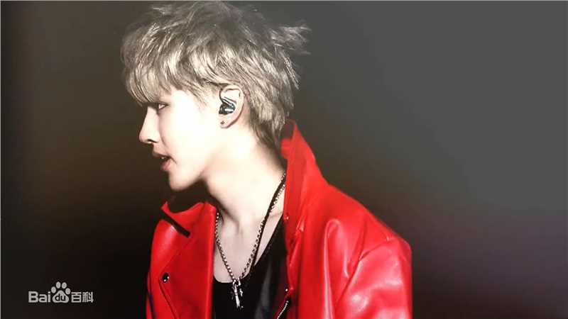 吴亦凡(KRIS)演唱会素颜照相册