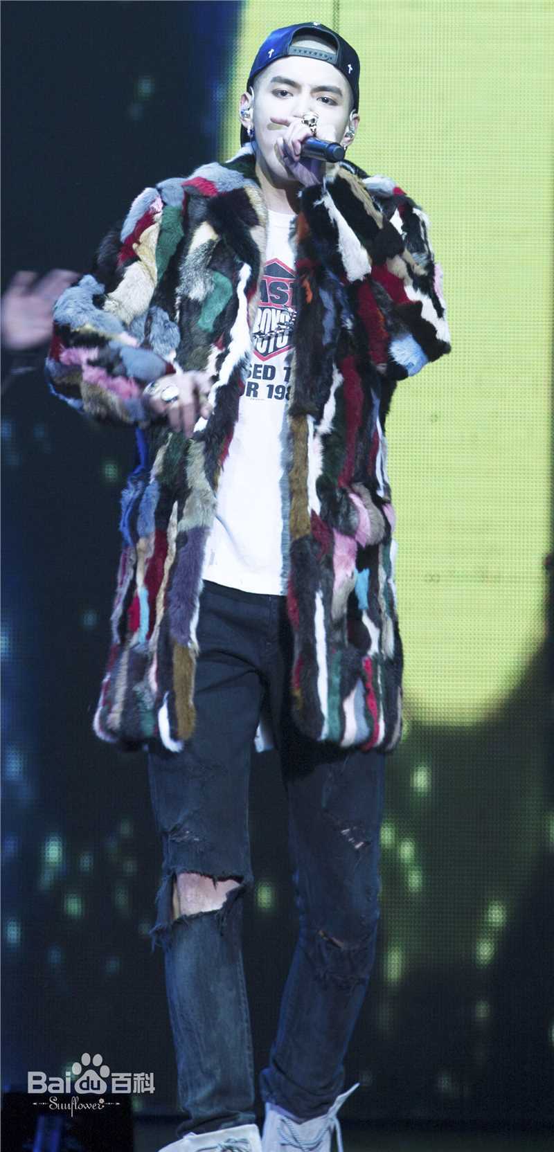 吴亦凡(KRIS)演唱会素颜照相册