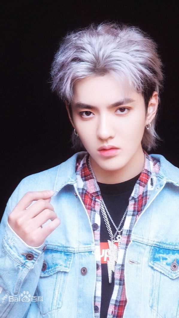 吴亦凡(KRIS)高清银发图集