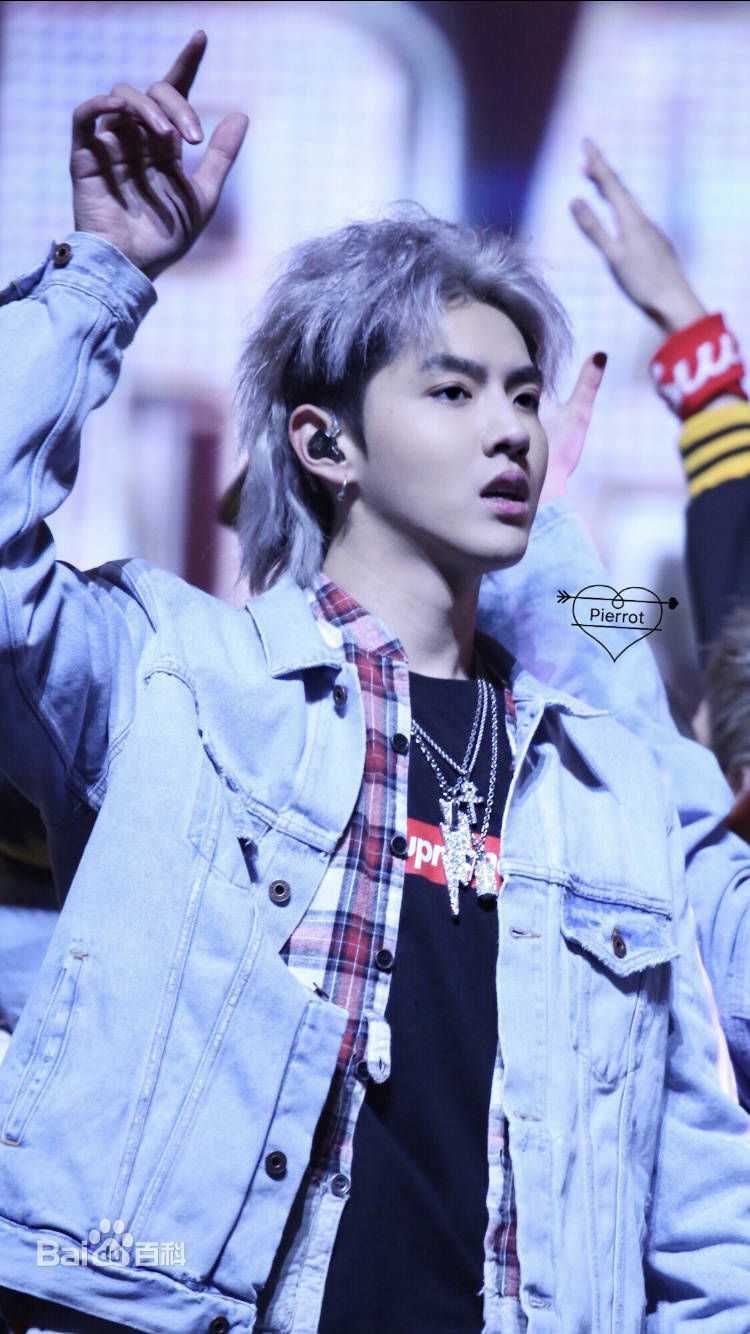 吴亦凡(KRIS)高清银发图集