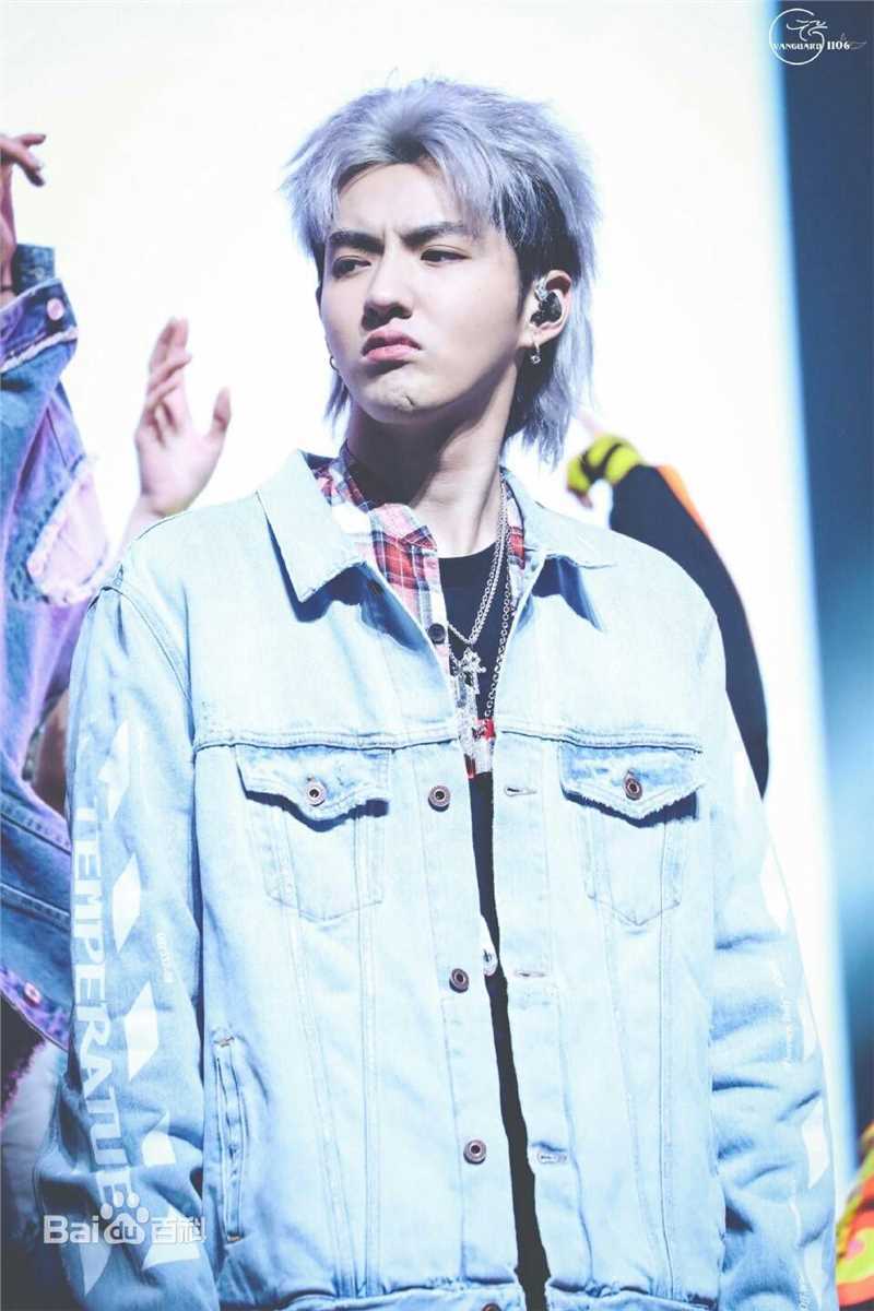 吴亦凡(KRIS)高清银发图集
