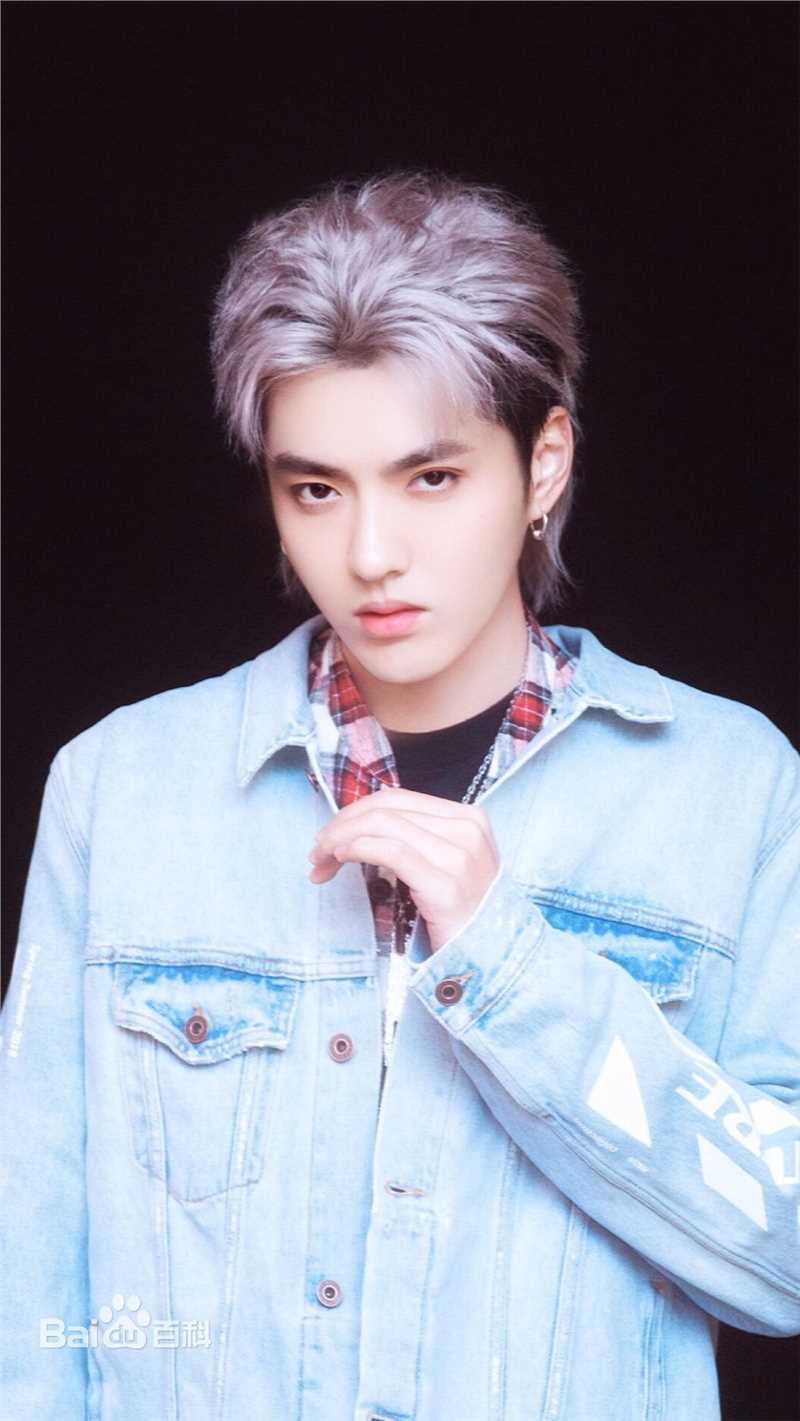 吴亦凡(KRIS)高清银发图集
