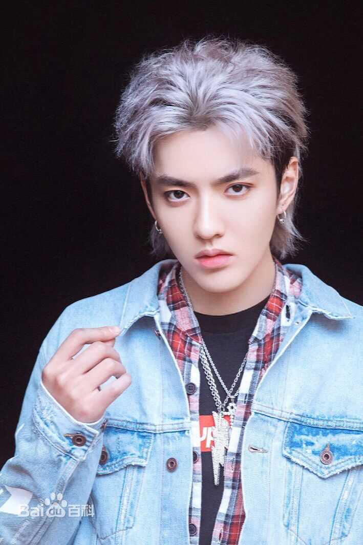 吴亦凡(KRIS)高清银发图集