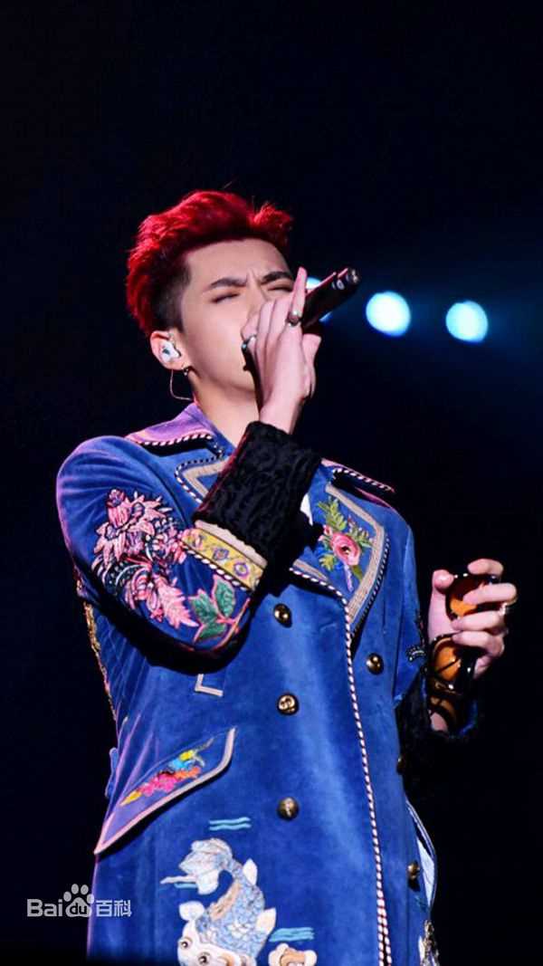 吴亦凡(KRIS)2016江苏卫视跨年晚会性感图片图集