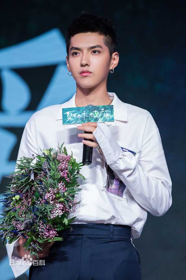 最优质吴亦凡(KRIS)在2016《致青春2：原来你还在这里》发布会、首映中的相册