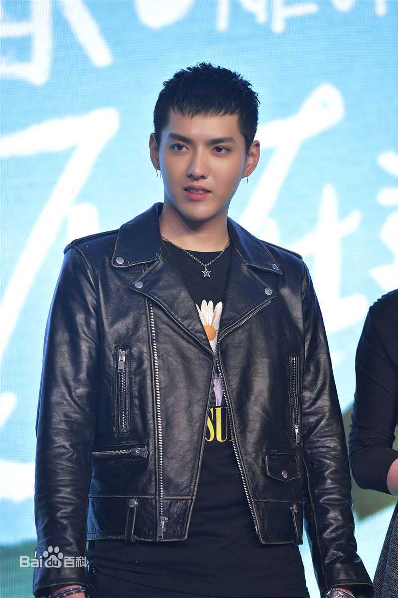 最优质吴亦凡(KRIS)在2016《致青春2：原来你还在这里》发布会、首映中的相册