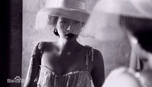 章子怡(Zhang Ziyi)经典硬照图片图册