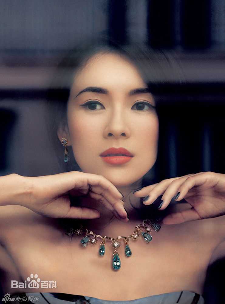 章子怡(Zhang Ziyi)经典硬照图片图册