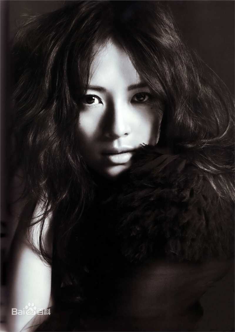 章子怡(Zhang Ziyi)经典硬照图片图册