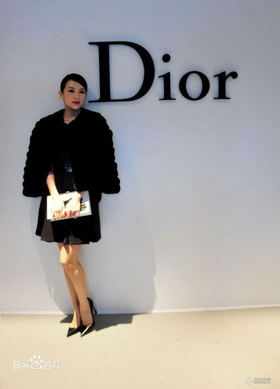 章子怡(Zhang Ziyi)时尚大片素颜照壁纸