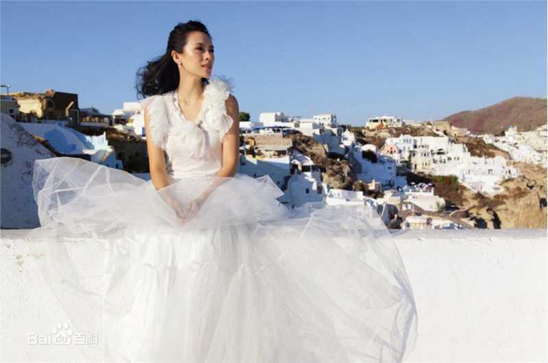 章子怡(Zhang Ziyi)最新海报图集