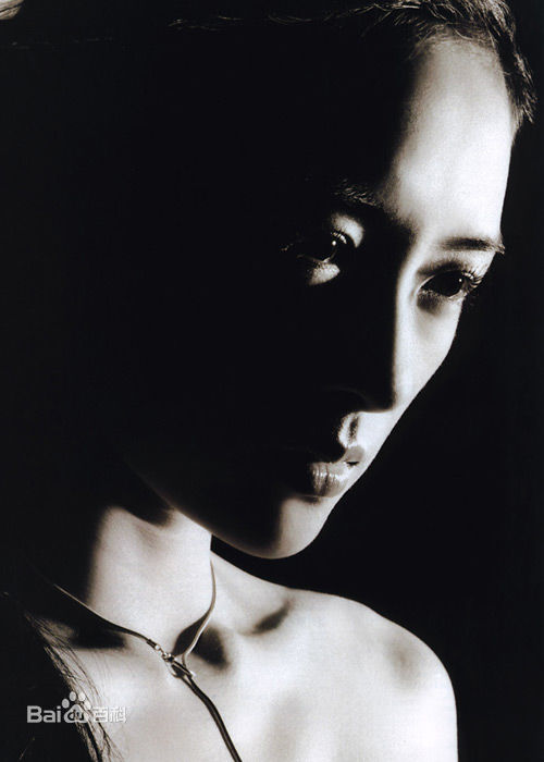 章子怡(Zhang Ziyi)最新海报图集