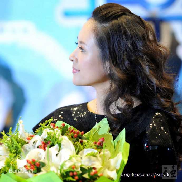 章子怡(Zhang Ziyi)2009非常完美宣传照图册