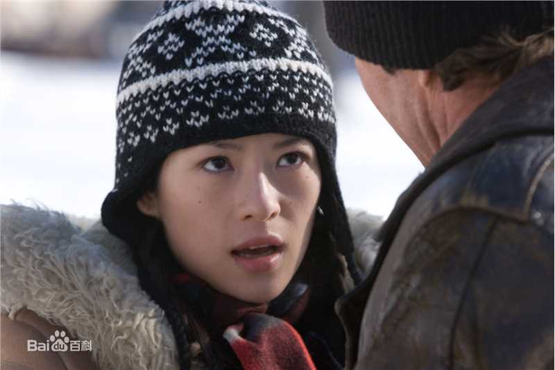 章子怡(Zhang Ziyi)2009骑士高清剧照