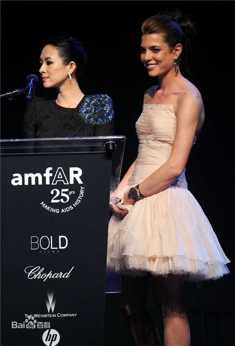 章子怡(Zhang Ziyi)历届戛纳电影节图册