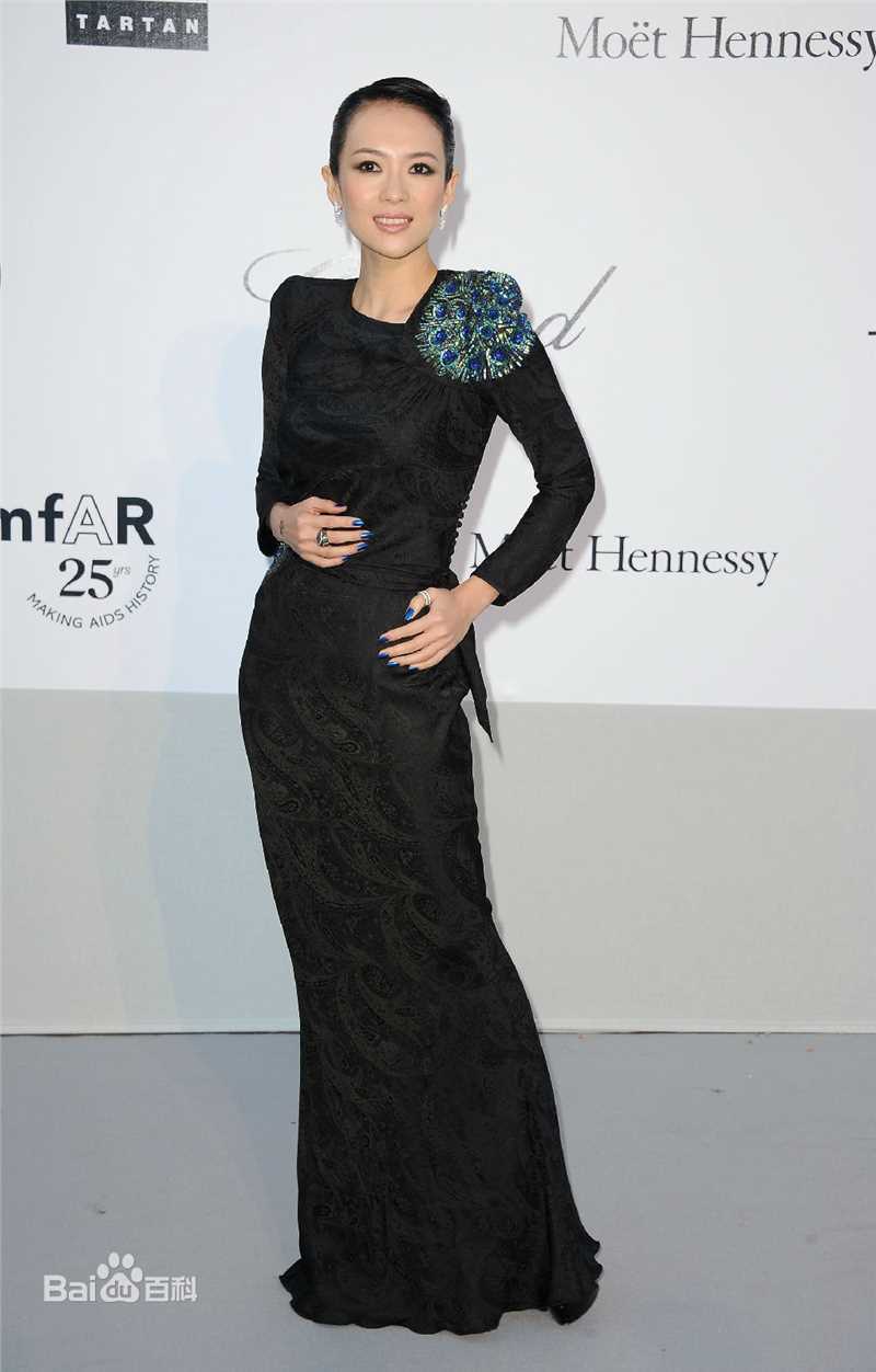 章子怡(Zhang Ziyi)历届戛纳电影节图册