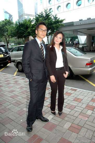 最全王学兵精彩图册