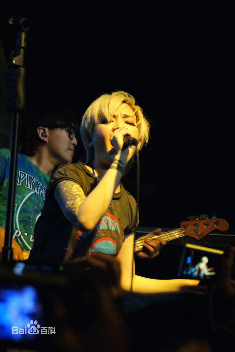 范晓萱(Mavis Fan)演唱会图片壁纸壁纸