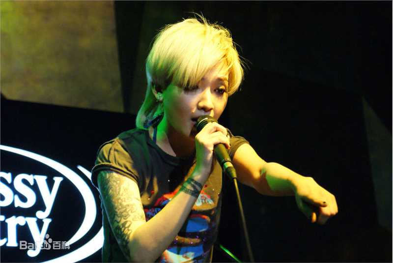 范晓萱(Mavis Fan)演唱会图片壁纸壁纸