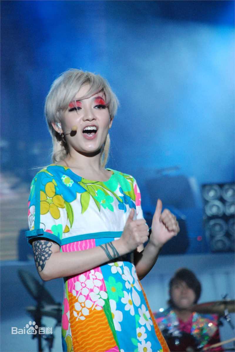 范晓萱(Mavis Fan)演唱会图片壁纸壁纸