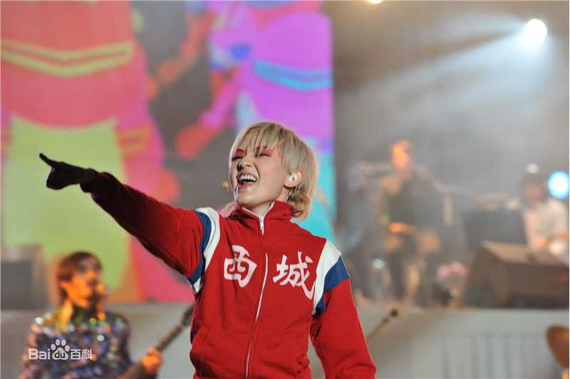 范晓萱(Mavis Fan)演唱会图片壁纸壁纸