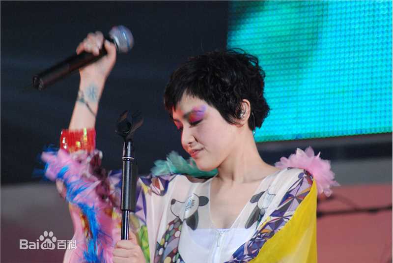 范晓萱(Mavis Fan)演唱会图片壁纸壁纸