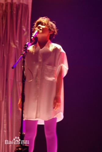 范晓萱(Mavis Fan)演唱会图片壁纸壁纸