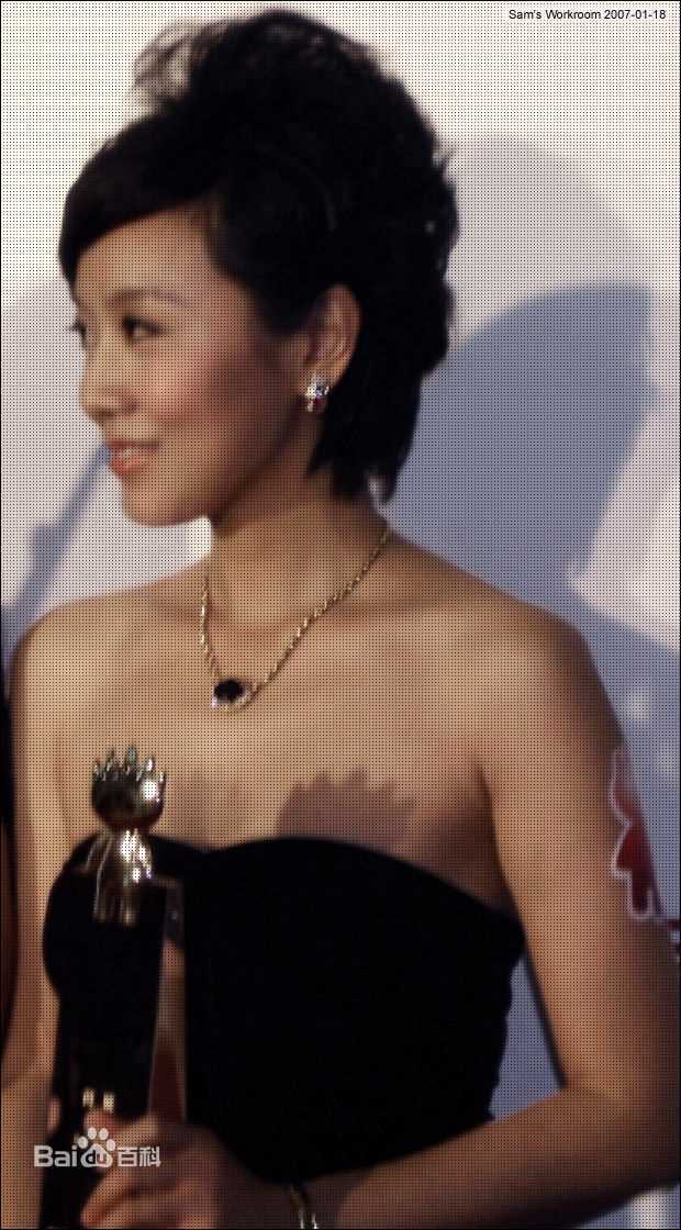 闫妮(NI YAN)荣耀时刻壁纸壁纸